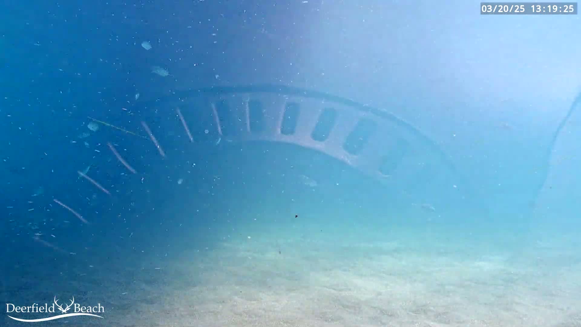 An underwater view shows a curved structure on the ocean floor, with light blue, clear water and a sandy bottom.