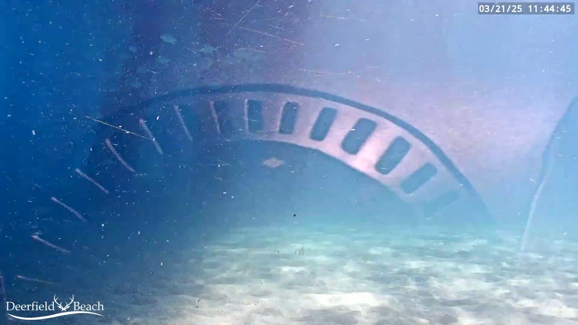 An underwater view shows the shadow of a partially submerged structure with a curved, segmented top, in somewhat murky water with a sandy bottom.