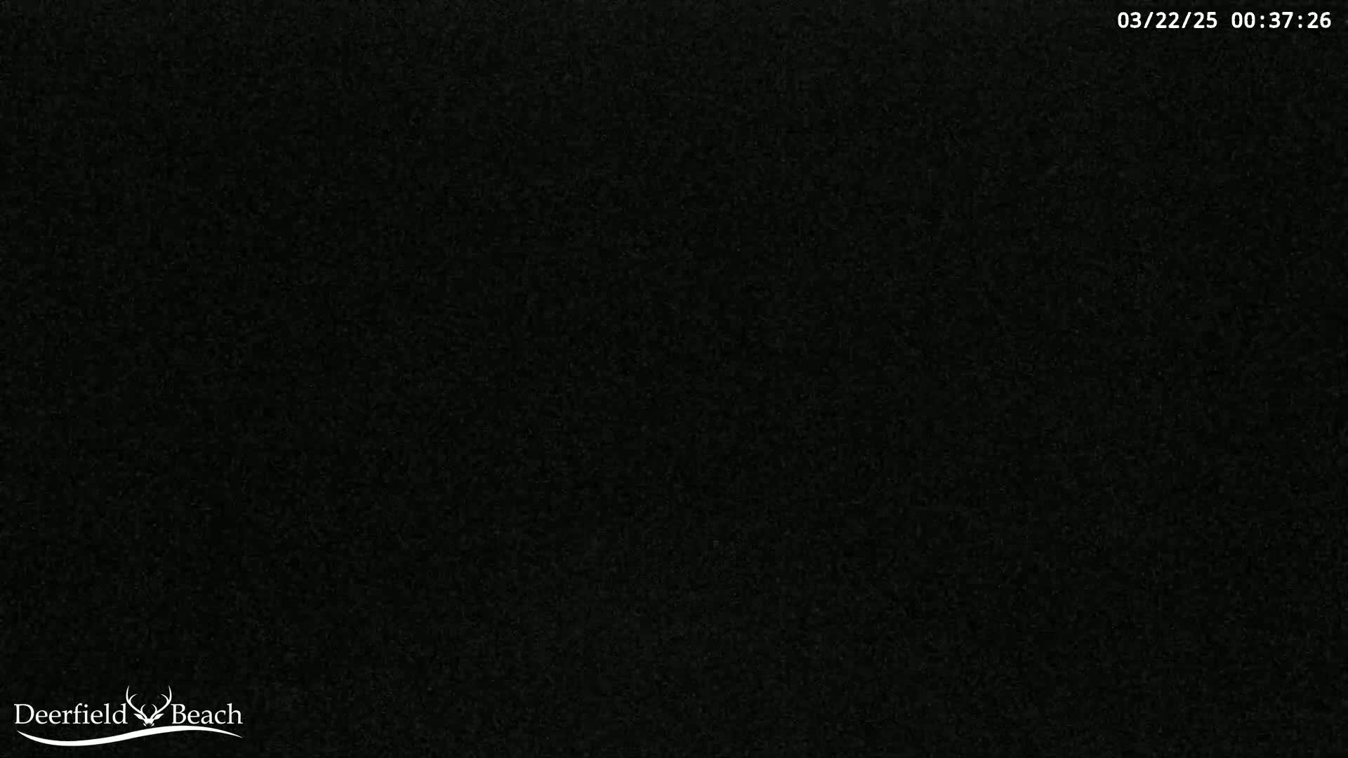 The image shows a completely black, grainy screen.