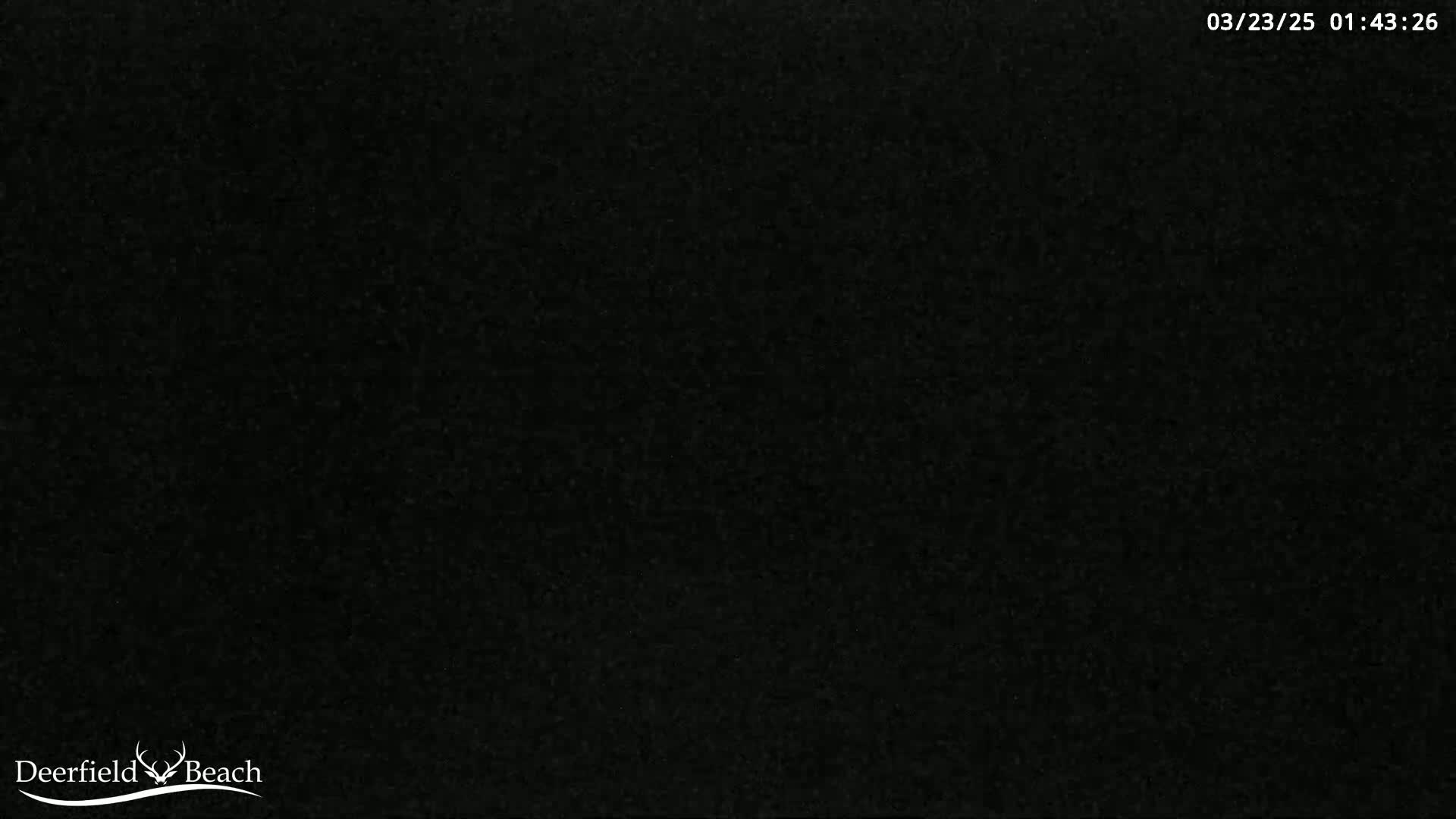 The image is a completely black, grainy screen.