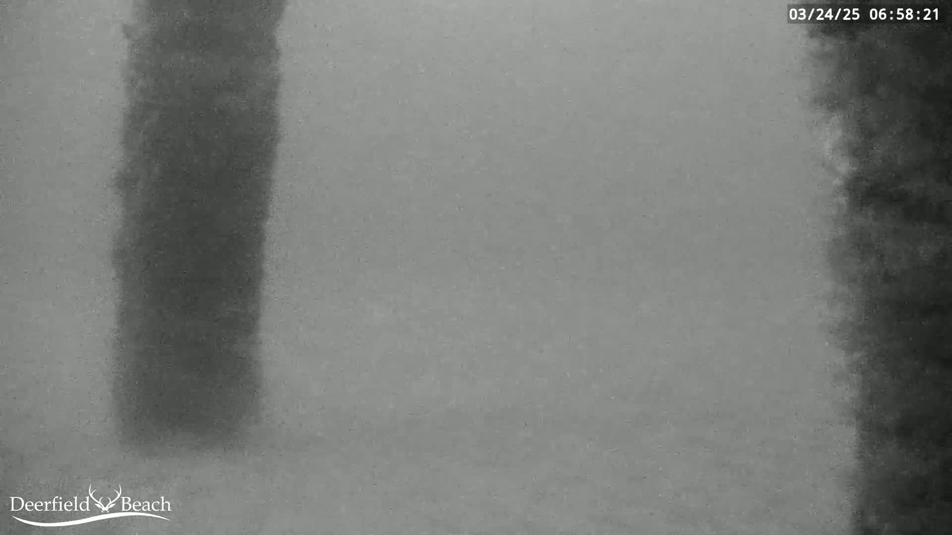 A blurry, gray image shows a dark, indistinct shape on the left and a darker, textured area on the right, in foggy conditions.