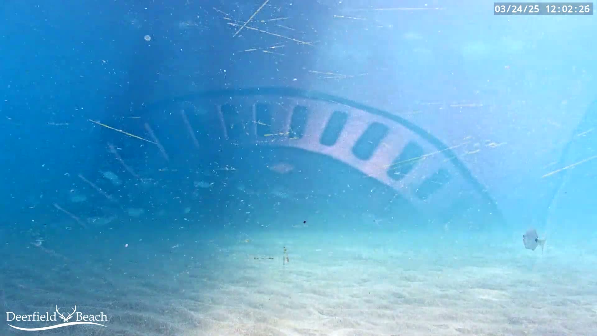 An underwater view shows a sandy seafloor with a shadowed, curved object above, a single fish, and some debris floating in the clear, blue water.