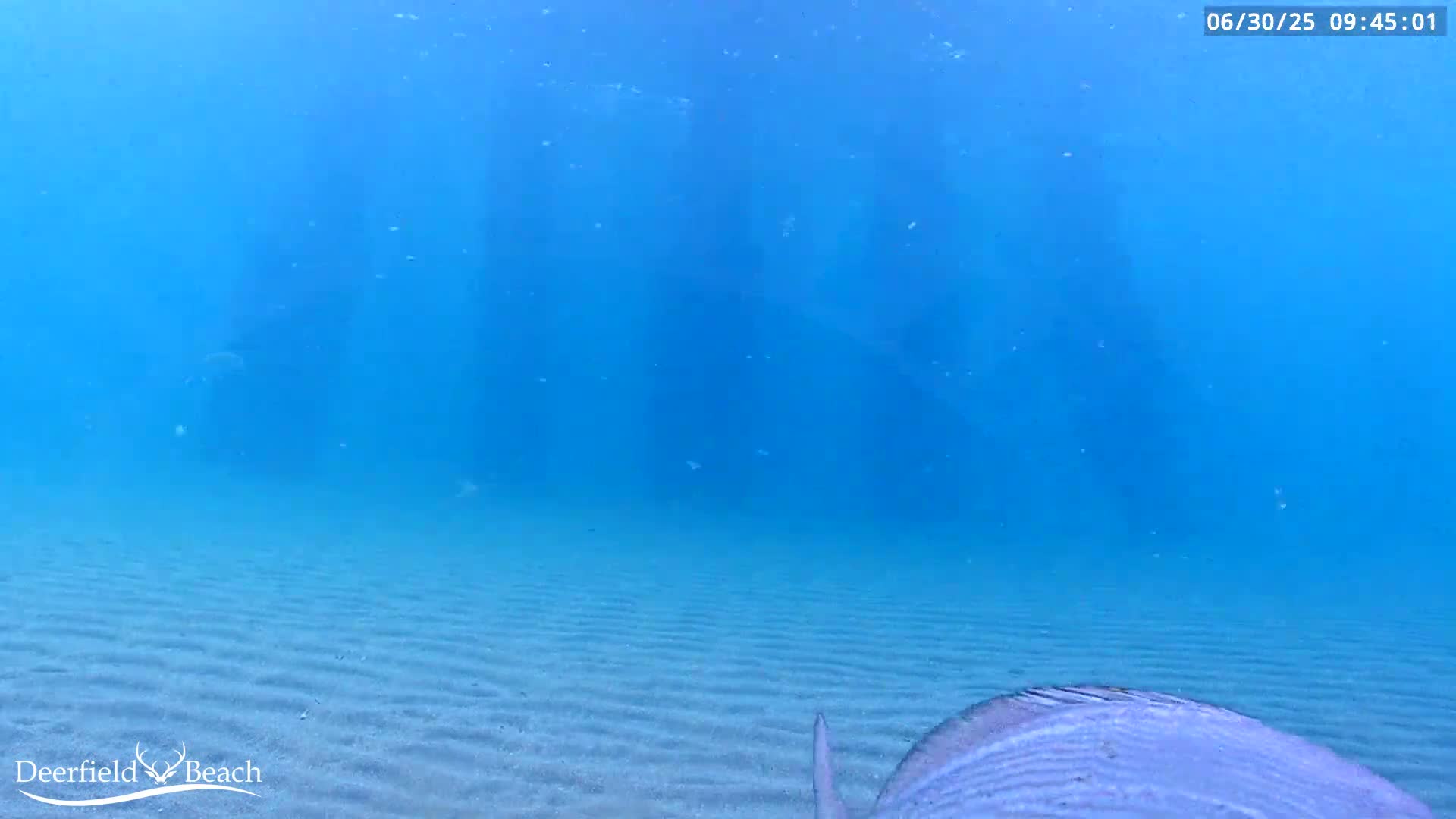 Deerfield Beach Atlantic Underwater Fish World Live Cam - Deerfield Beach, Broward, Florida, USA