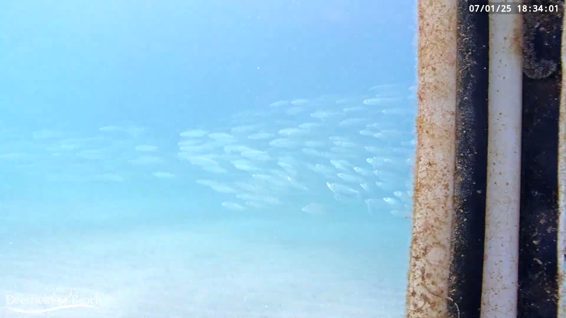 Deerfield Beach Atlantic Underwater Fish World Live Cam - Deerfield Beach, Broward, Florida, USA