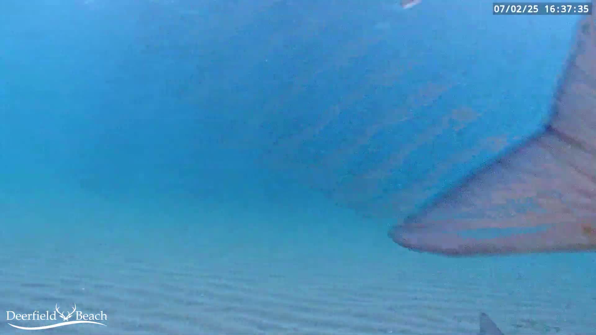Deerfield Beach Atlantic Underwater Fish World Live Cam - Deerfield Beach, Broward, Florida, USA