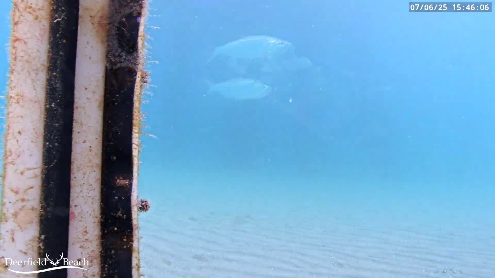 Deerfield Beach Atlantic Underwater Fish World Live Cam - Deerfield Beach, Broward, Florida, USA