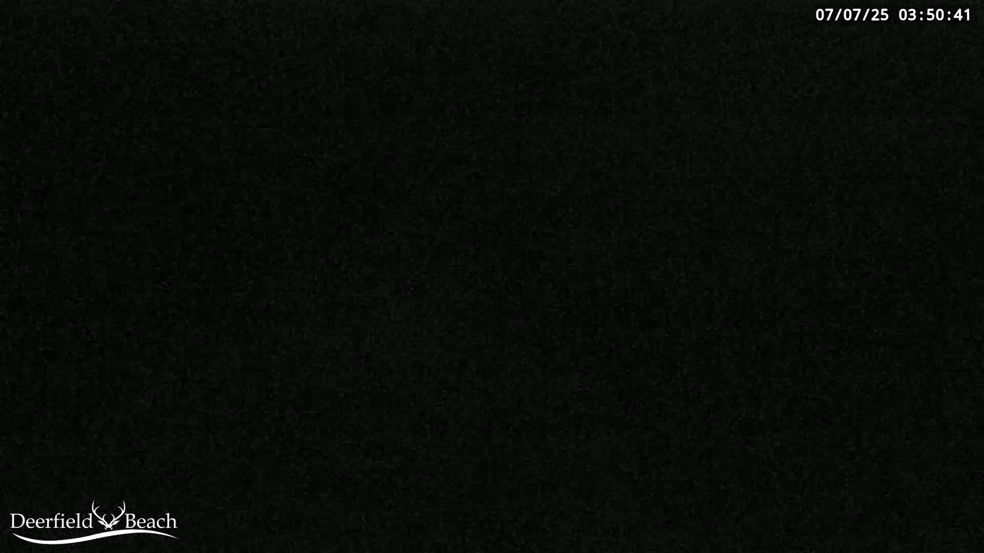 The image is a completely black, grainy screen.