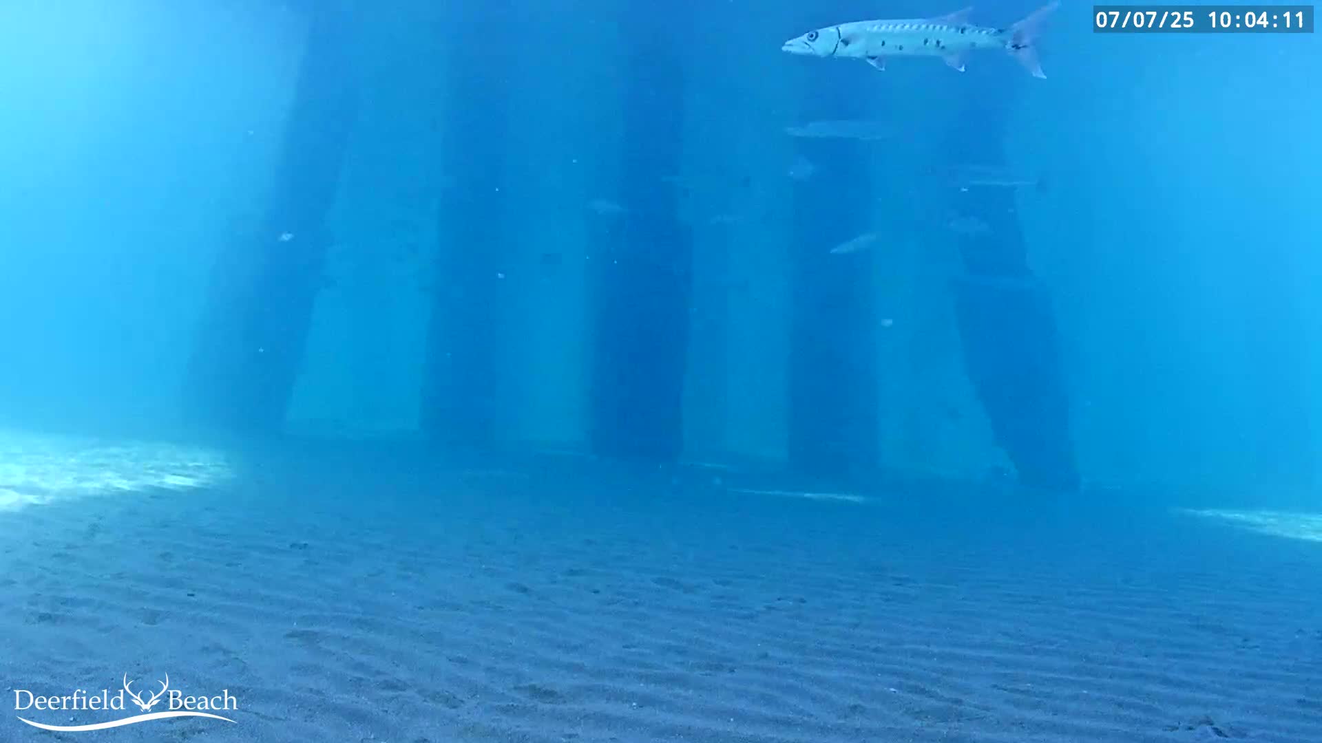 Deerfield Beach Atlantic Underwater Fish World Live Cam - Deerfield Beach, Broward, Florida, USA