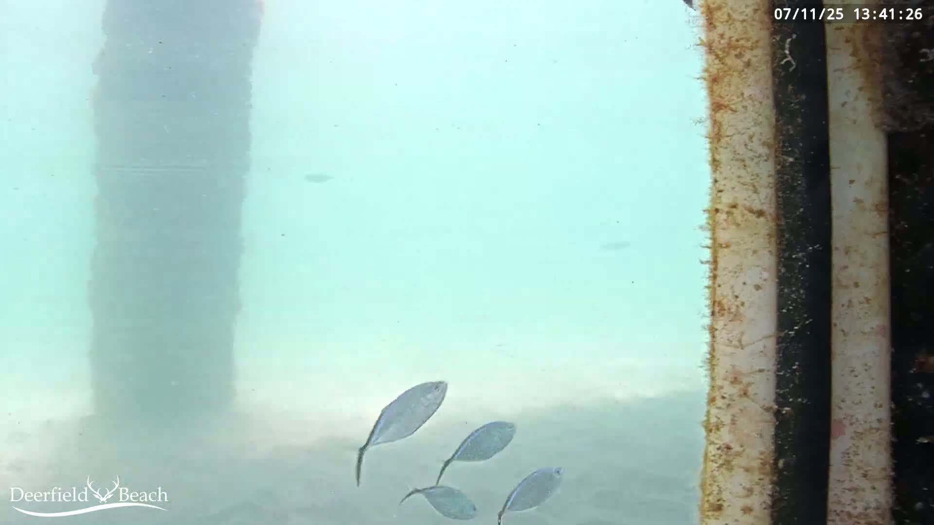 Deerfield Beach Atlantic Underwater Fish World Live Cam - Deerfield Beach, Broward, Florida, USA