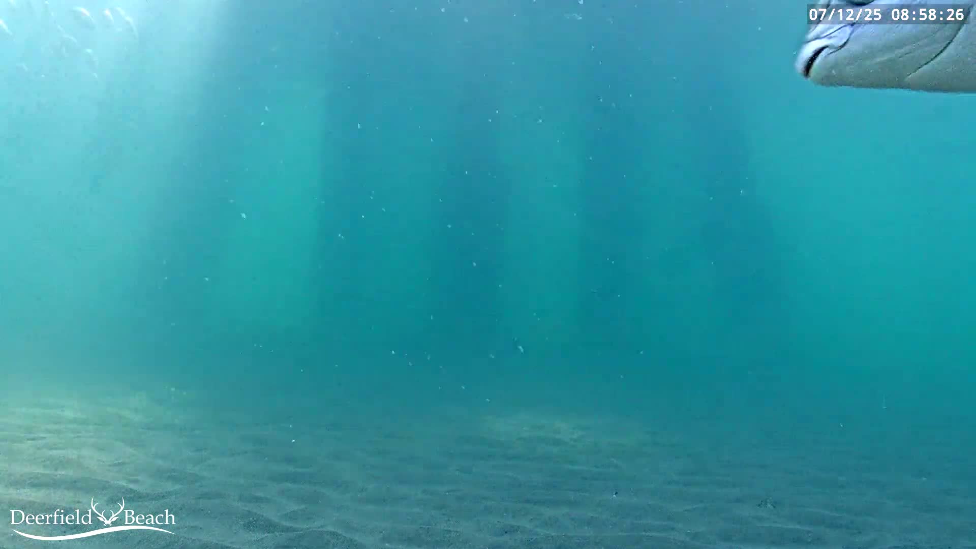 Deerfield Beach Atlantic Underwater Fish World Live Cam - Deerfield Beach, Broward, Florida, USA