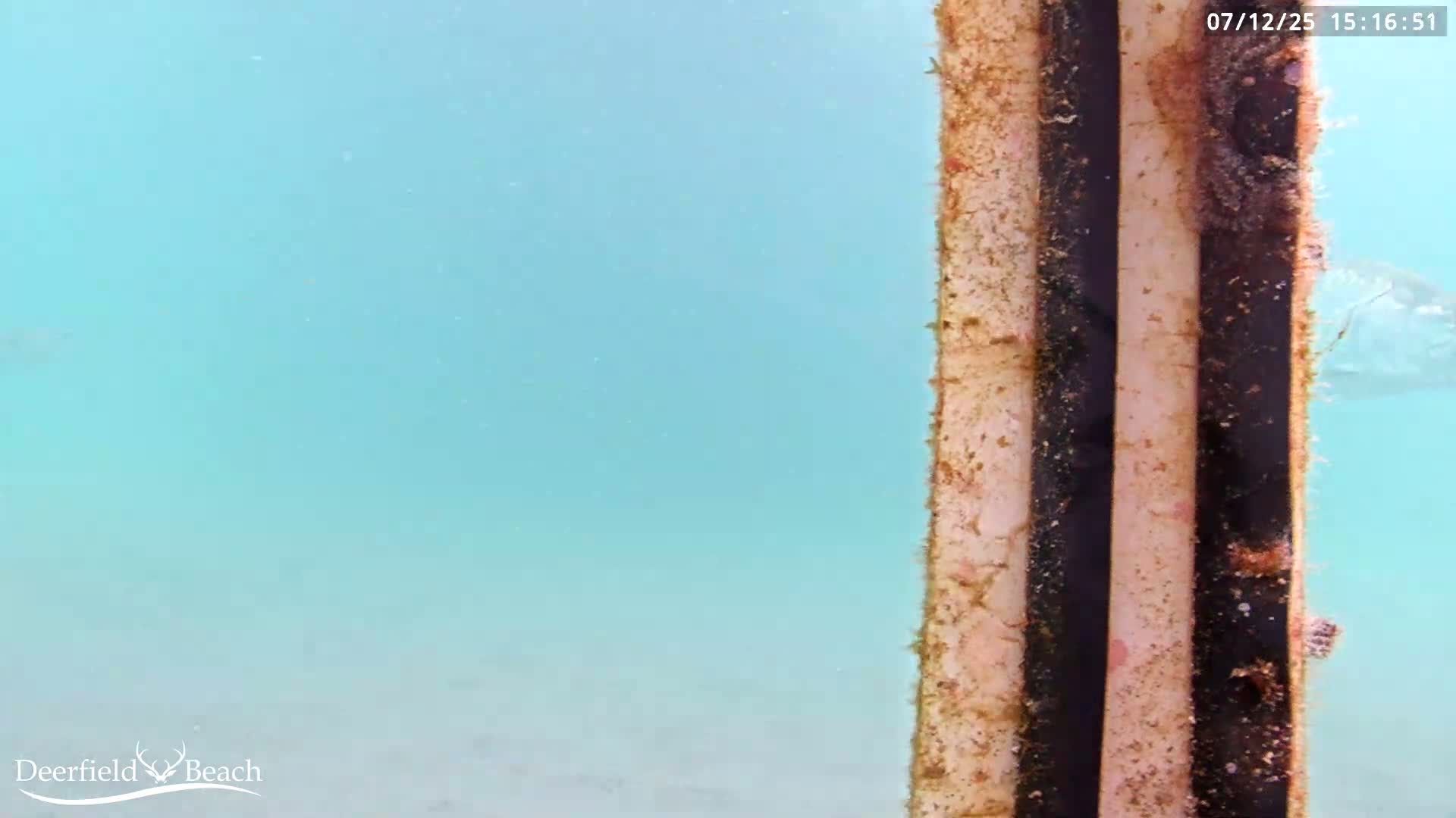 Deerfield Beach Atlantic Underwater Fish World Live Cam - Deerfield Beach, Broward, Florida, USA