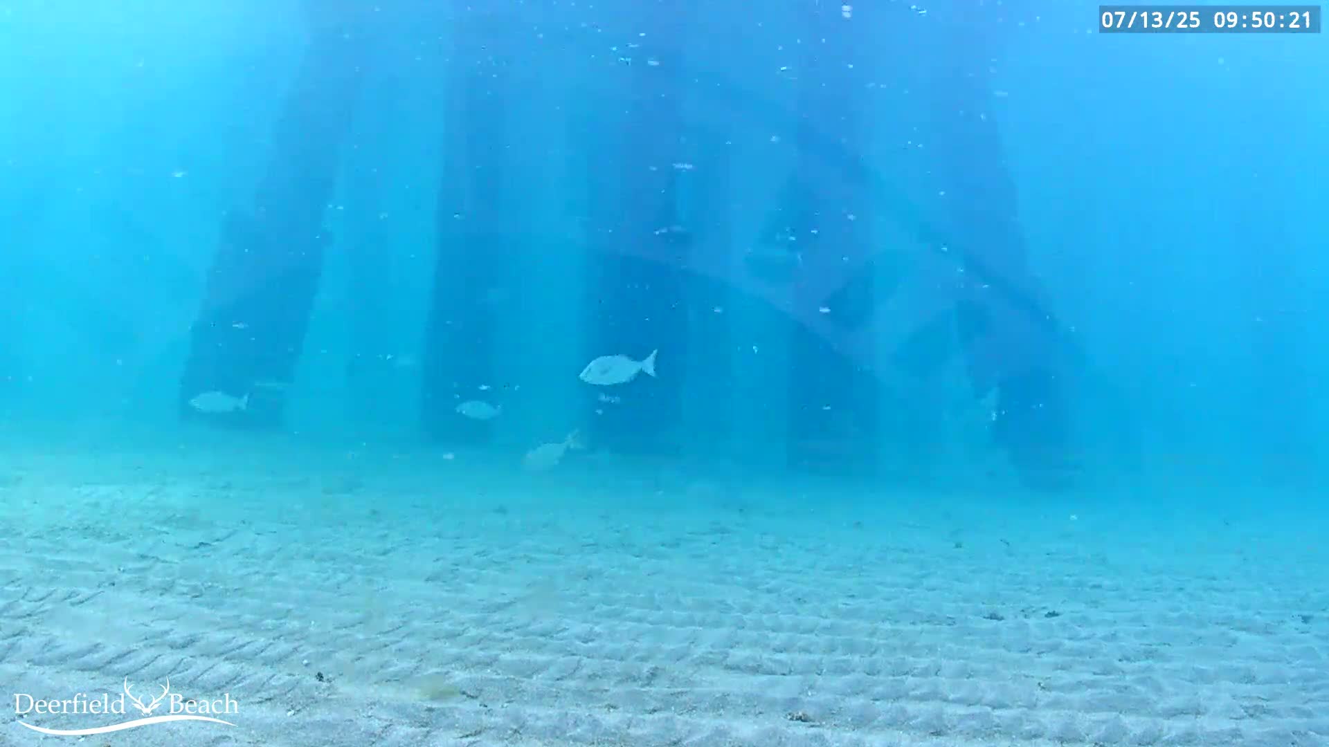 Deerfield Beach Atlantic Underwater Fish World Live Cam - Deerfield Beach, Broward, Florida, USA