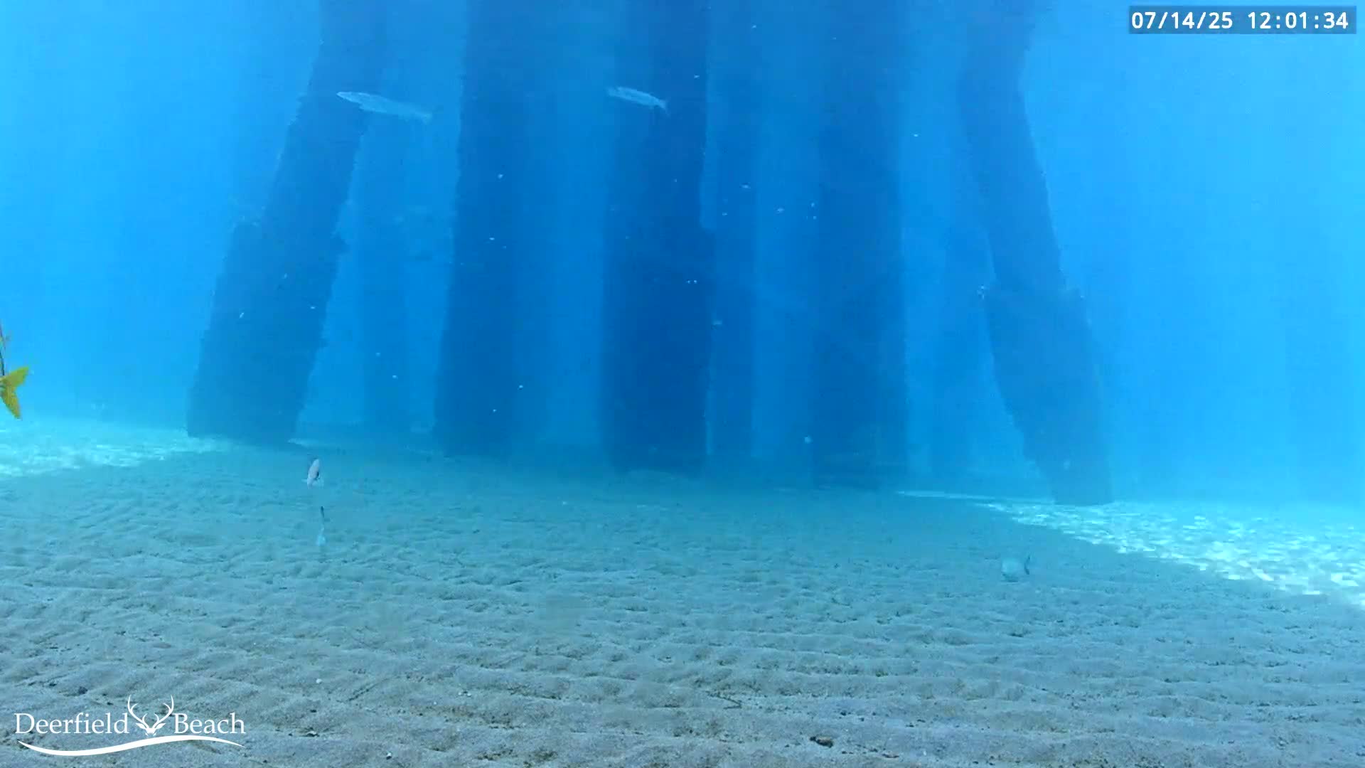 Deerfield Beach Atlantic Underwater Fish World Live Cam - Deerfield Beach, Broward, Florida, USA