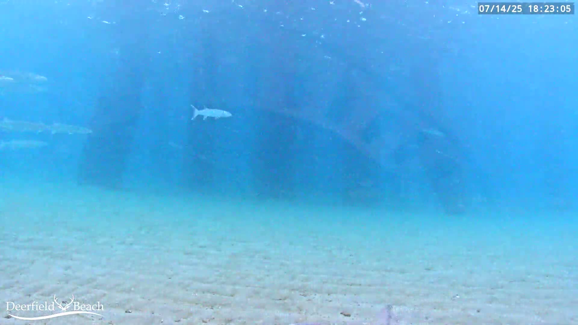 Deerfield Beach Atlantic Underwater Fish World Live Cam - Deerfield Beach, Broward, Florida, USA