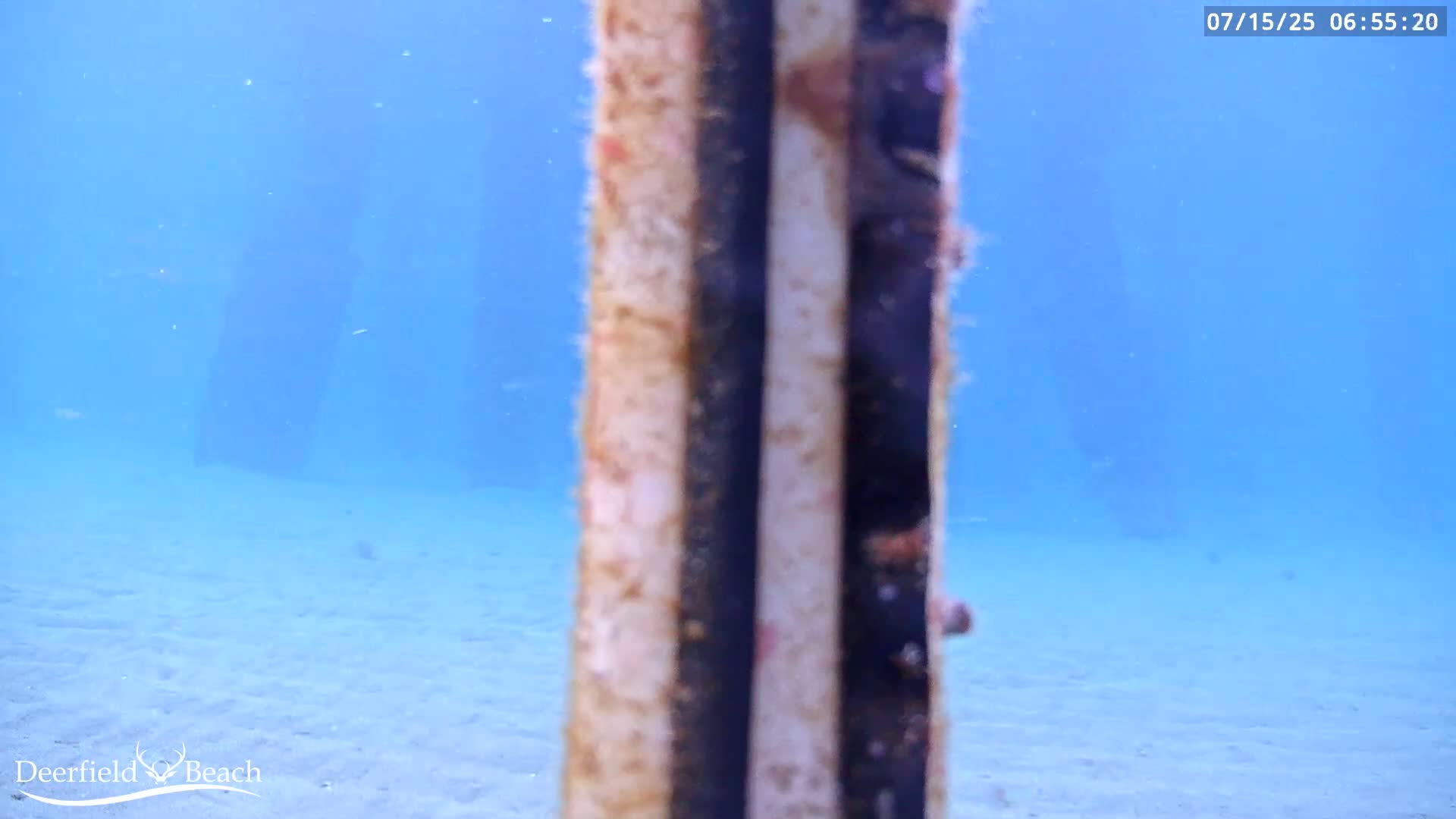 Deerfield Beach Atlantic Underwater Fish World Live Cam - Deerfield Beach, Broward, Florida, USA