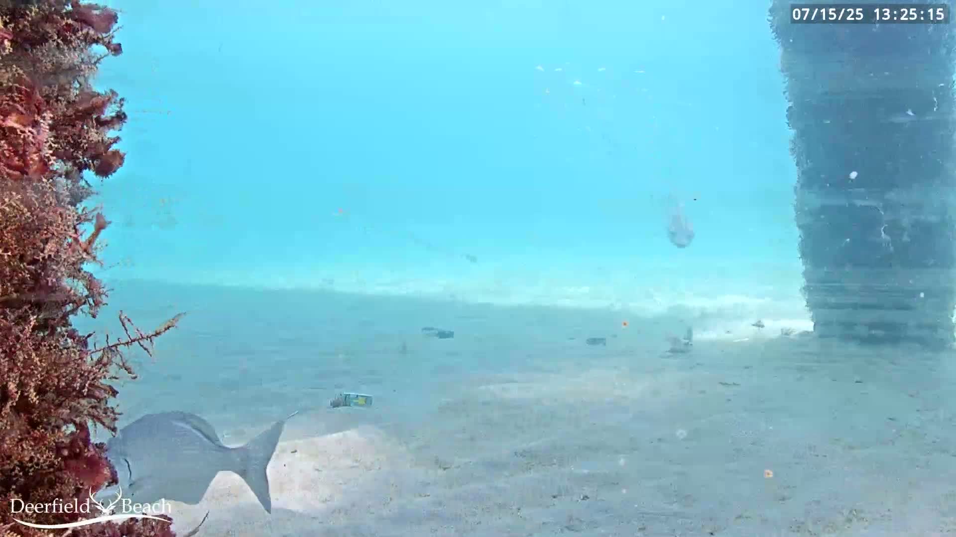 Deerfield Beach Atlantic Underwater Fish World Live Cam - Deerfield Beach, Broward, Florida, USA