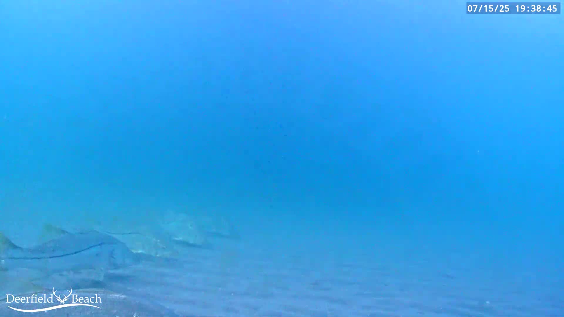 Deerfield Beach Atlantic Underwater Fish World Live Cam - Deerfield Beach, Broward, Florida, USA