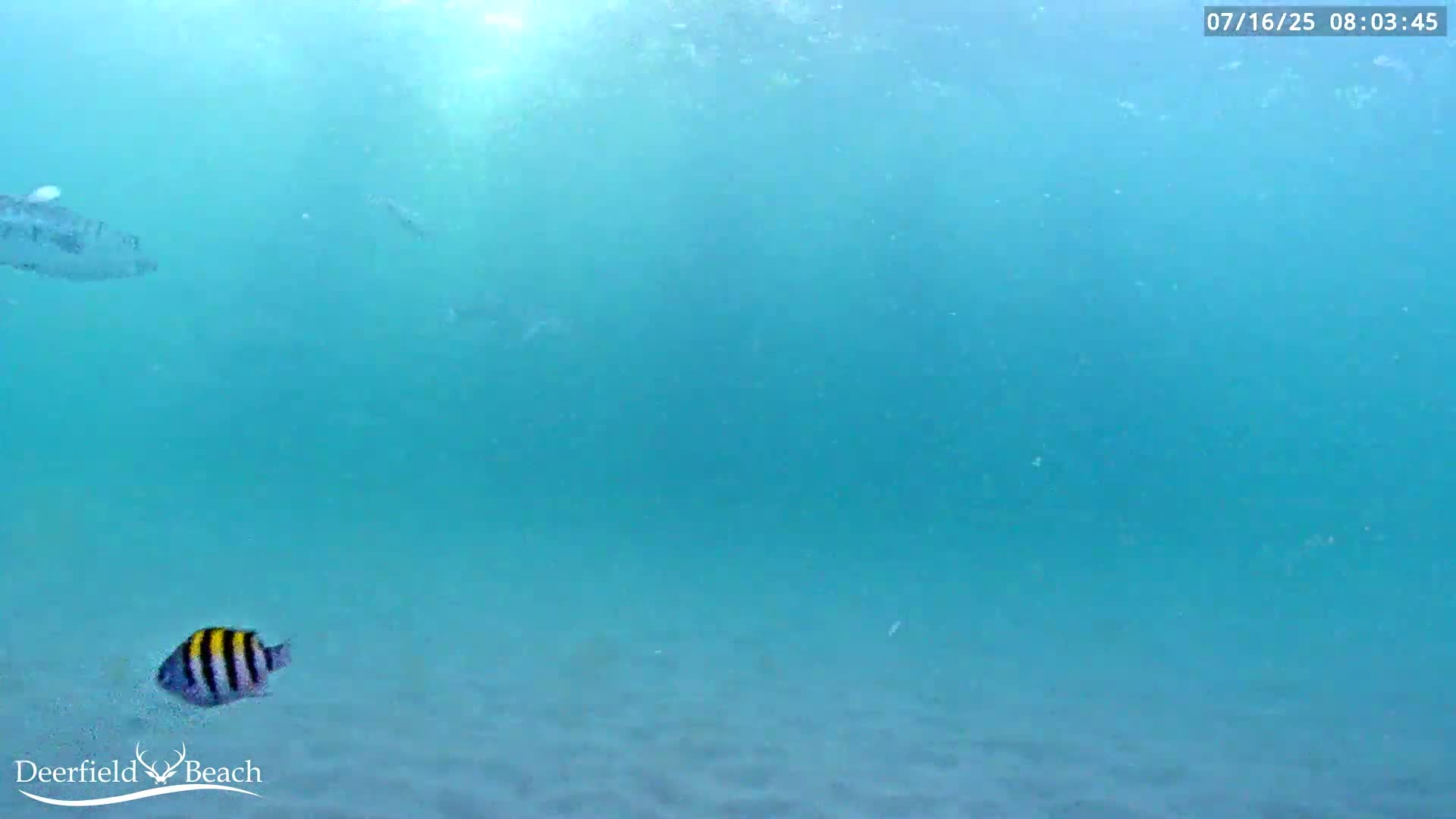 Deerfield Beach Atlantic Underwater Fish World Live Cam - Deerfield Beach, Broward, Florida, USA