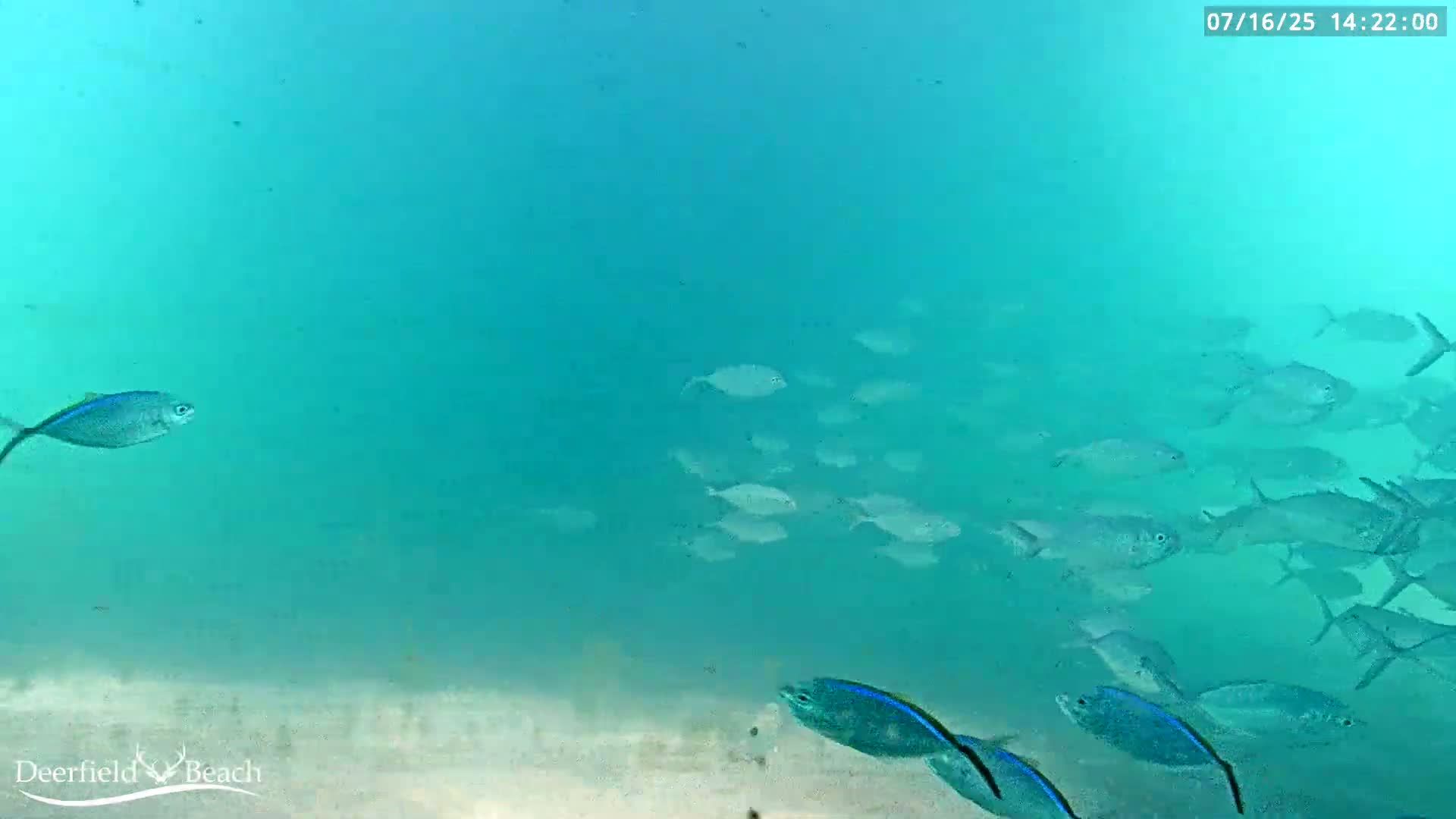 Deerfield Beach Atlantic Underwater Fish World Live Cam - Deerfield Beach, Broward, Florida, USA
