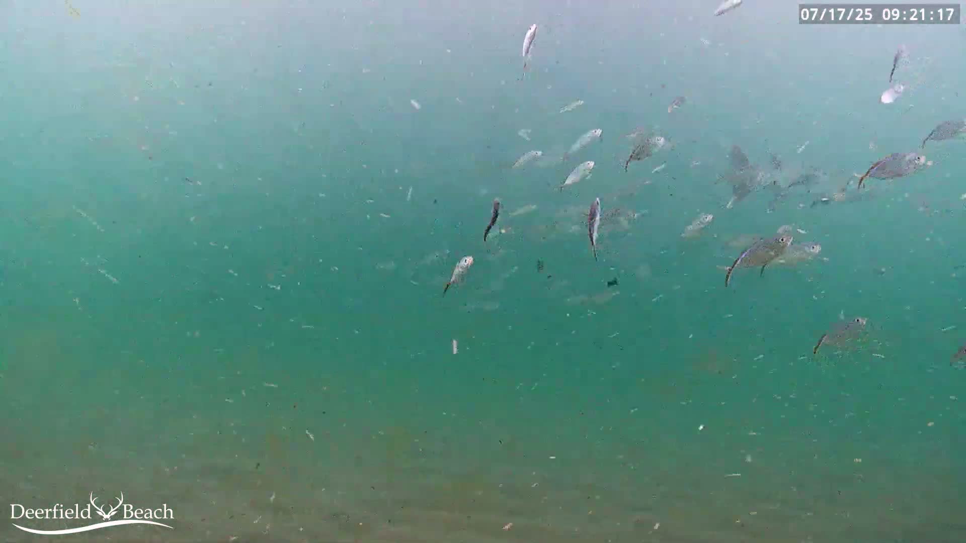 Deerfield Beach Atlantic Underwater Fish World Live Cam - Deerfield Beach, Broward, Florida, USA
