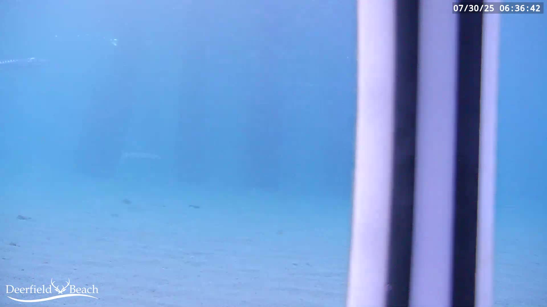Deerfield Beach Atlantic Underwater Fish World Live Cam - Deerfield Beach, Broward, Florida, USA