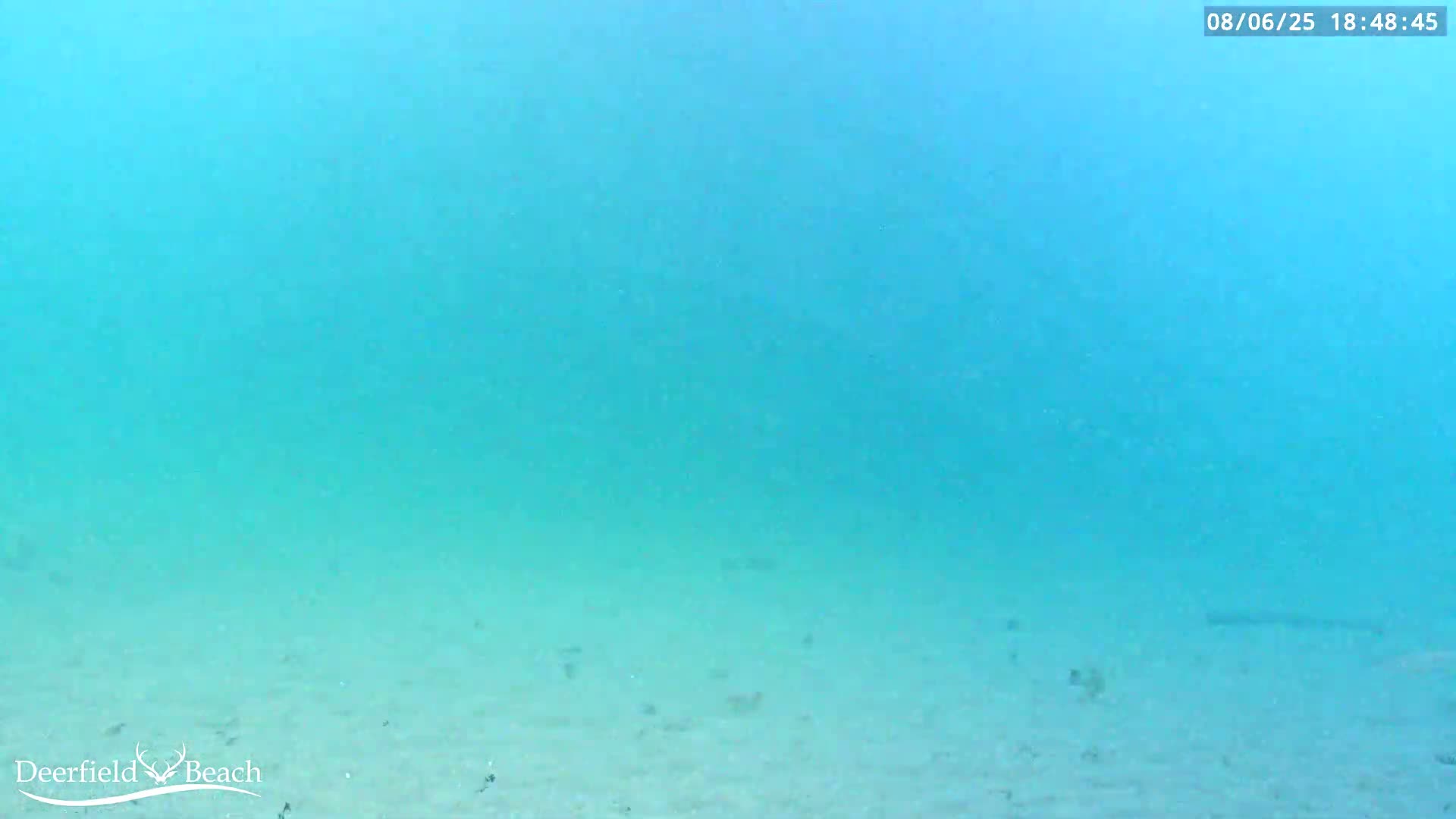 Deerfield Beach Atlantic Underwater Fish World Live Cam - Deerfield Beach, Broward, Florida, USA