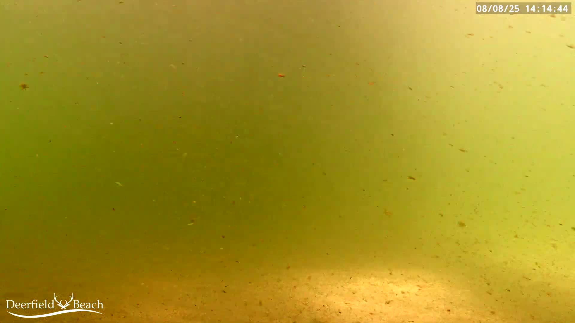 Deerfield Beach Atlantic Underwater Fish World Live Cam - Deerfield Beach, Broward, Florida, USA