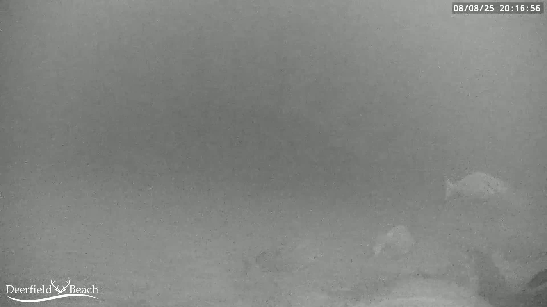 Deerfield Beach Atlantic Underwater Fish World Live Cam - Deerfield Beach, Broward, Florida, USA