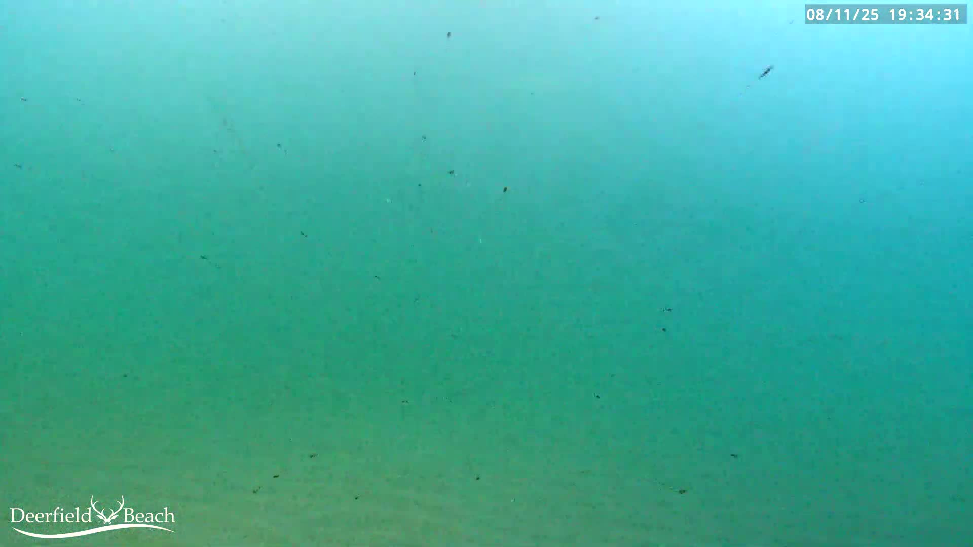Deerfield Beach Atlantic Underwater Fish World Live Cam - Deerfield Beach, Broward, Florida, USA