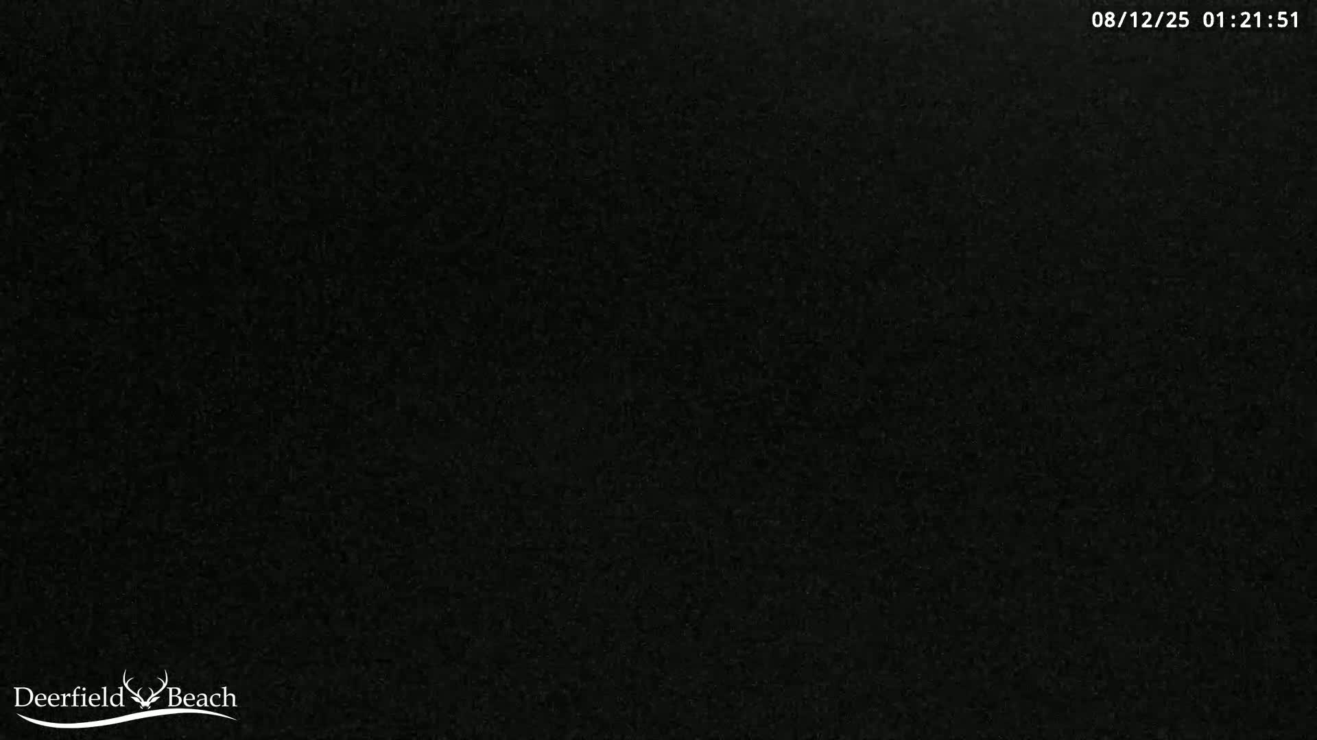 Deerfield Beach Atlantic Underwater Fish World Live Cam - Deerfield Beach, Broward, Florida, USA