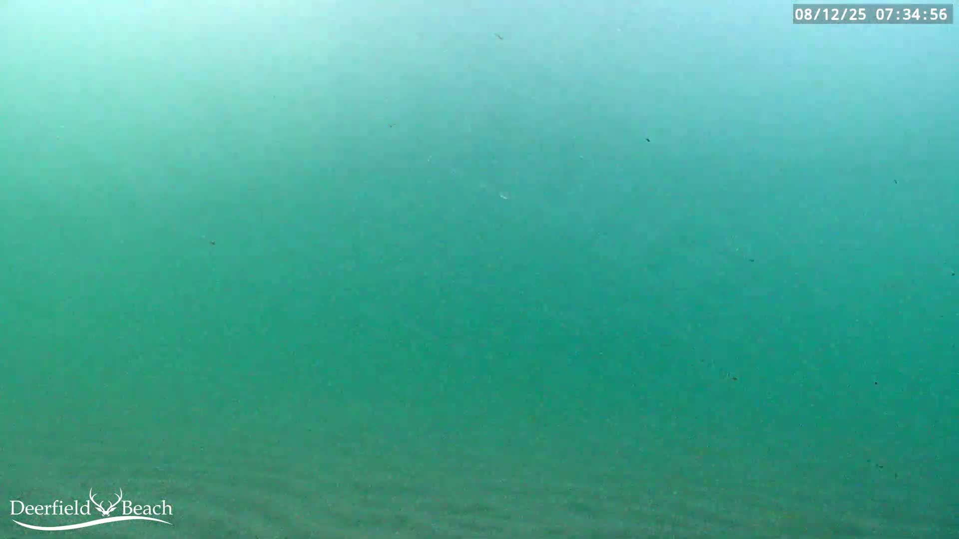 Deerfield Beach Atlantic Underwater Fish World Live Cam - Deerfield Beach, Broward, Florida, USA