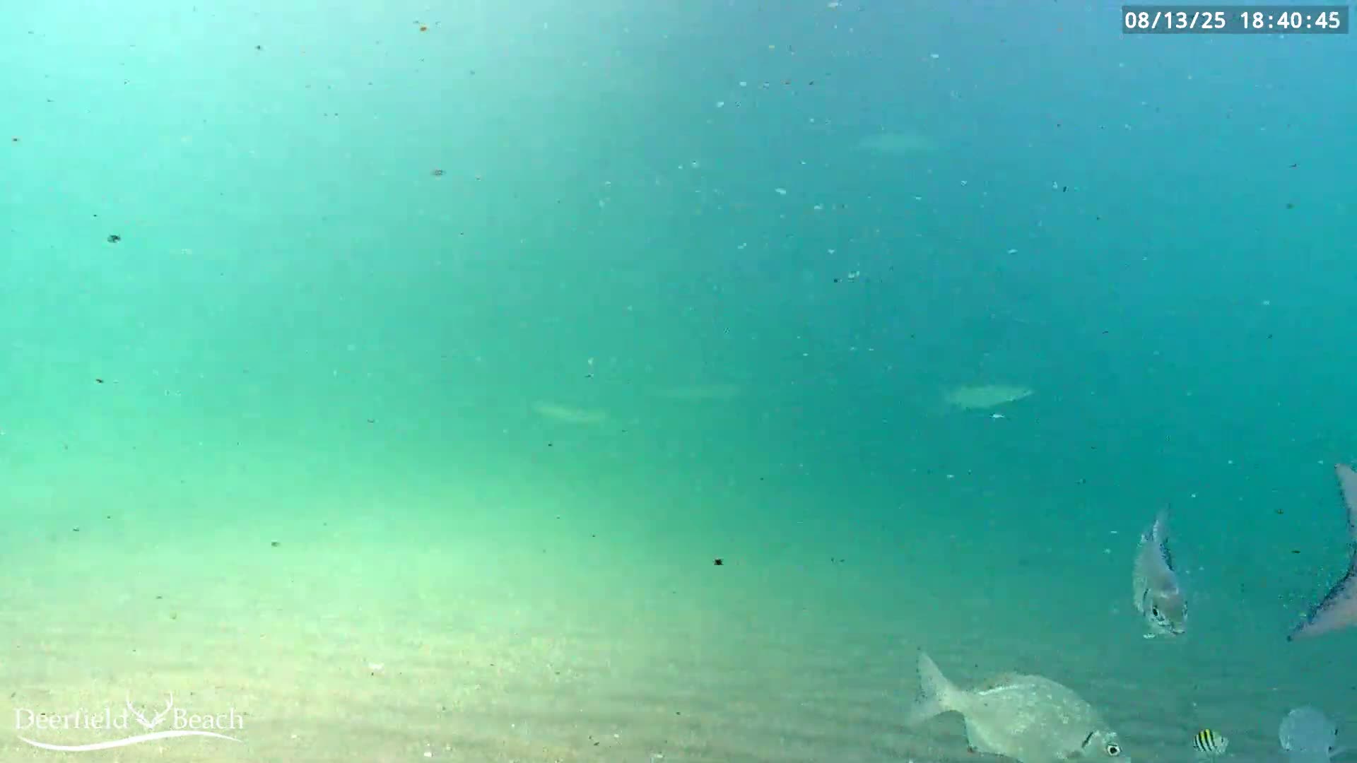 Deerfield Beach Atlantic Underwater Fish World Live Cam - Deerfield Beach, Broward, Florida, USA