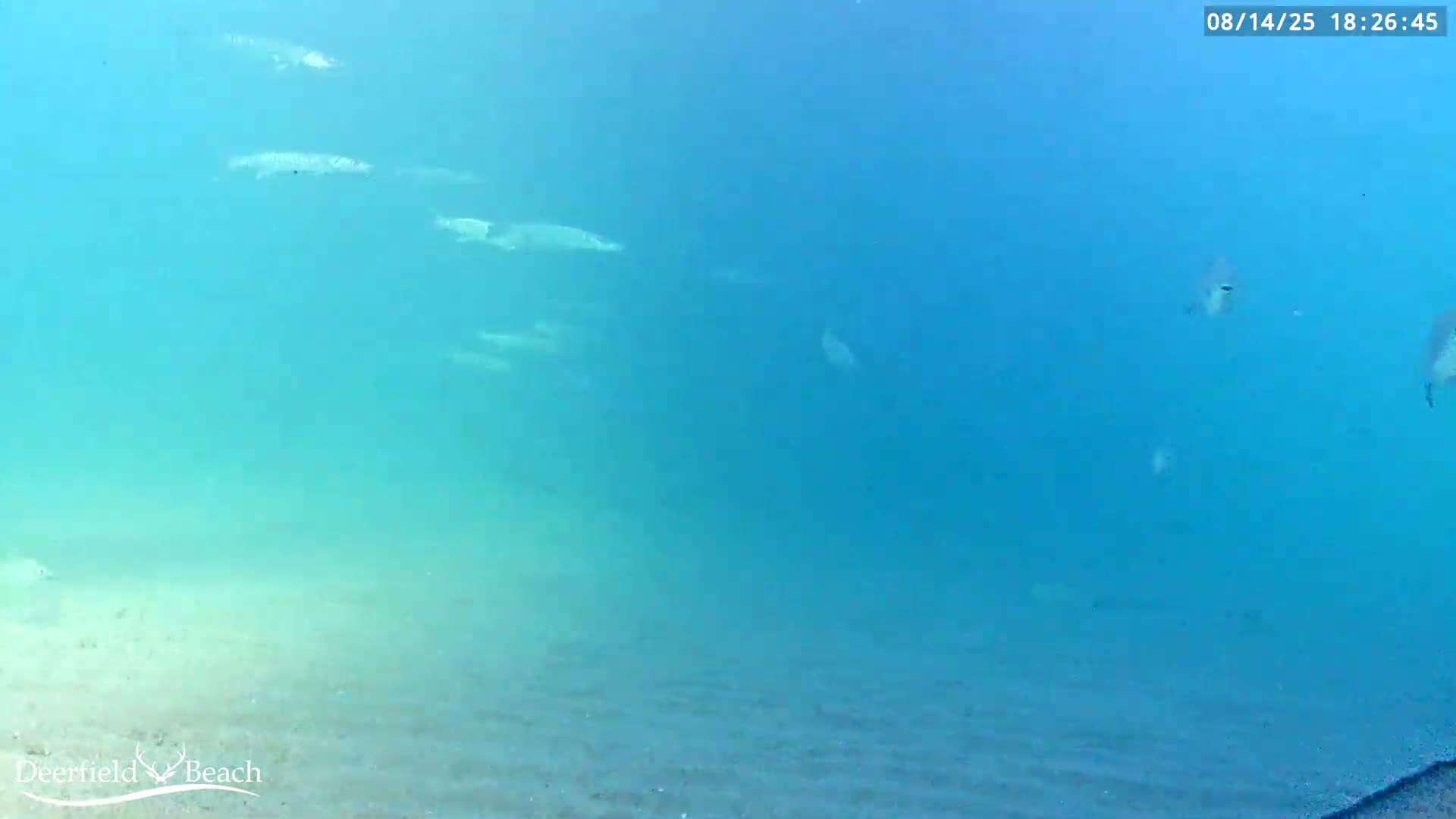 Deerfield Beach Atlantic Underwater Fish World Live Cam - Deerfield Beach, Broward, Florida, USA