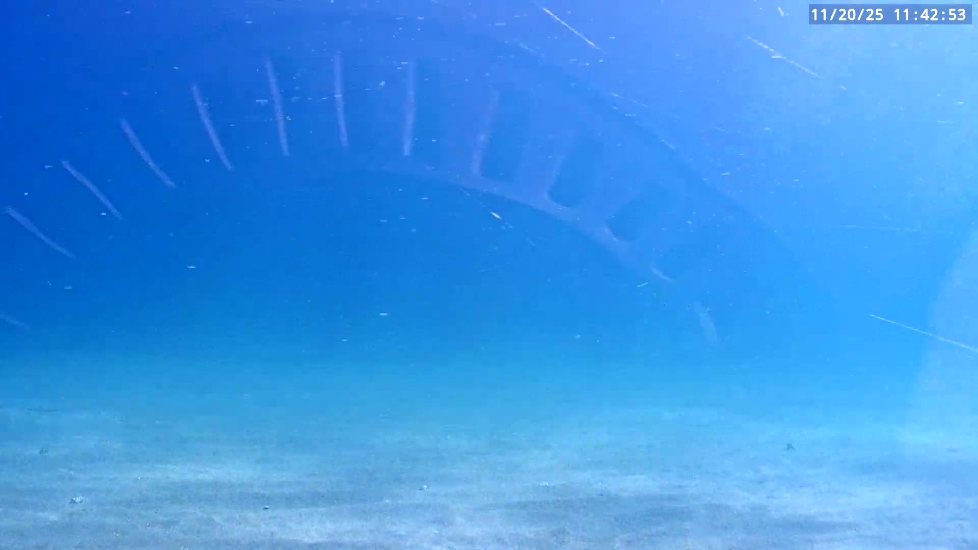 Deerfield Beach Atlantic Underwater Fish World Live Cam - Deerfield Beach, Broward, Florida, USA