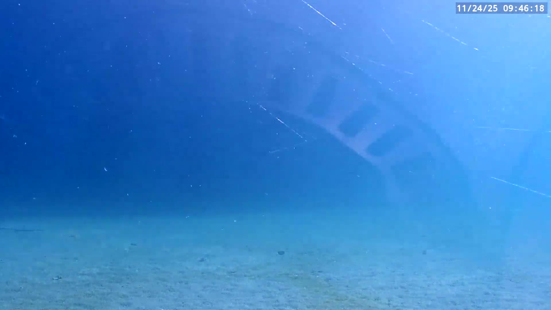 Deerfield Beach Atlantic Underwater Fish World Live Cam - Deerfield Beach, Broward, Florida, USA