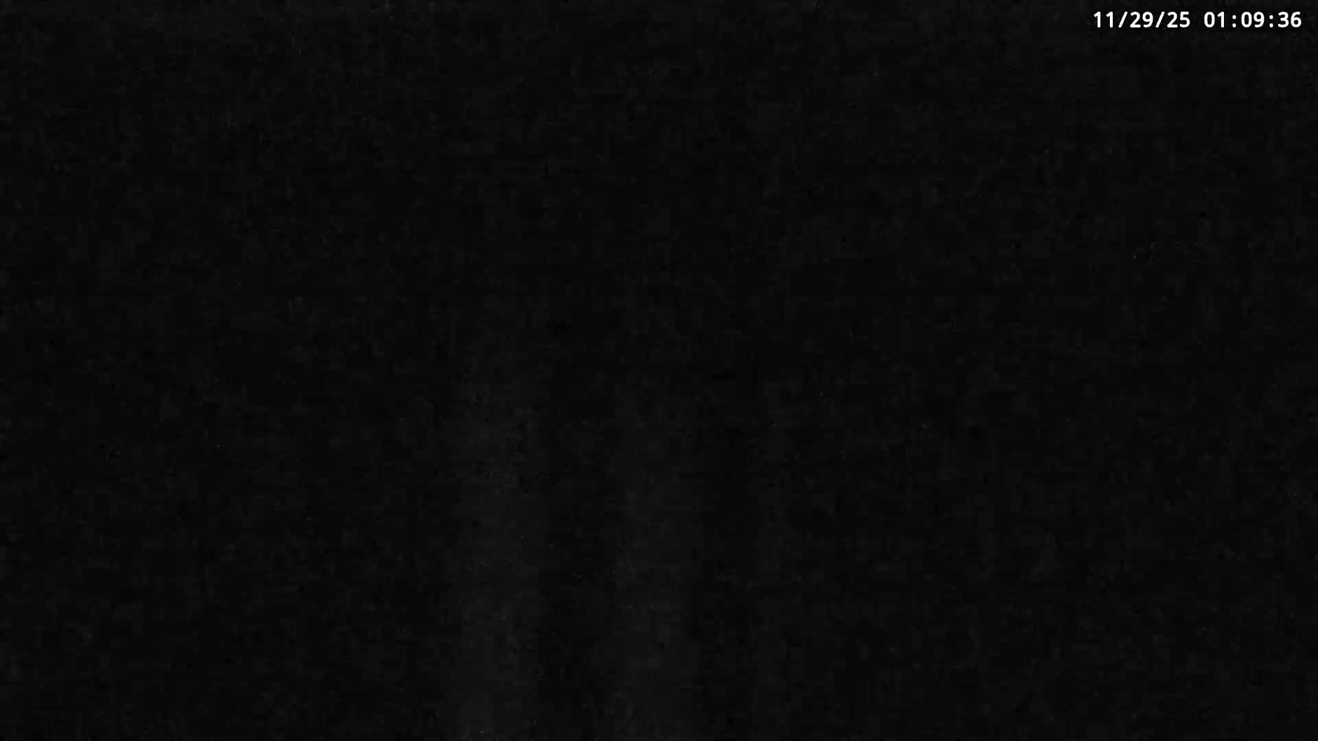 Deerfield Beach Atlantic Underwater Fish World Live Cam - Deerfield Beach, Broward, Florida, USA