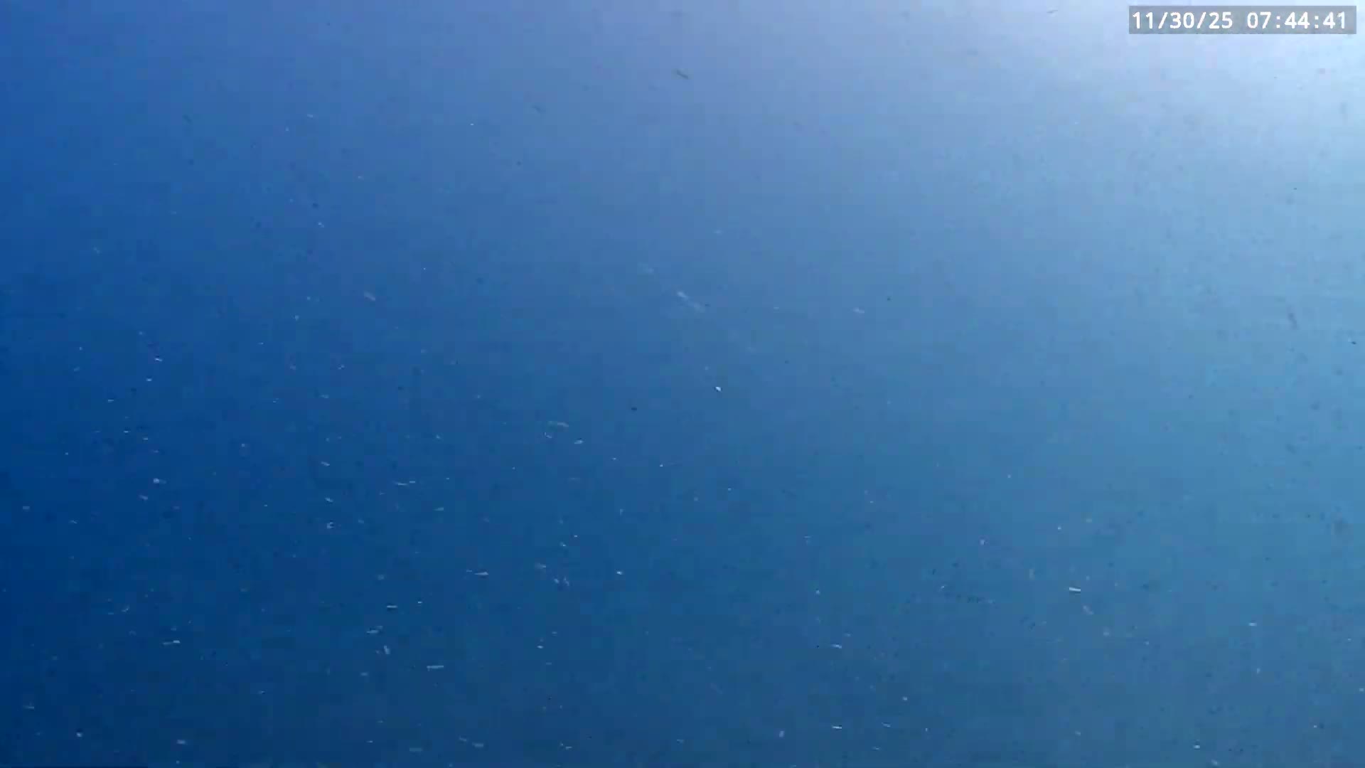 Deerfield Beach Atlantic Underwater Fish World Live Cam - Deerfield Beach, Broward, Florida, USA