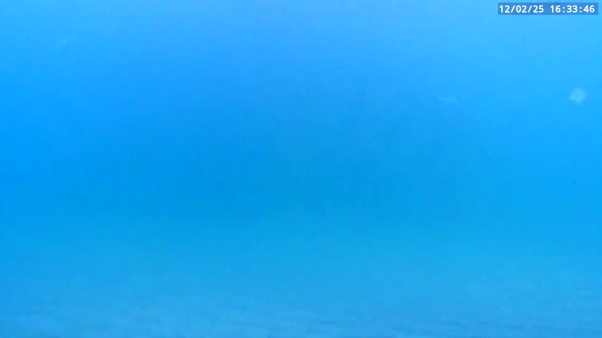 Deerfield Beach Atlantic Underwater Fish World Live Cam - Deerfield Beach, Broward, Florida, USA