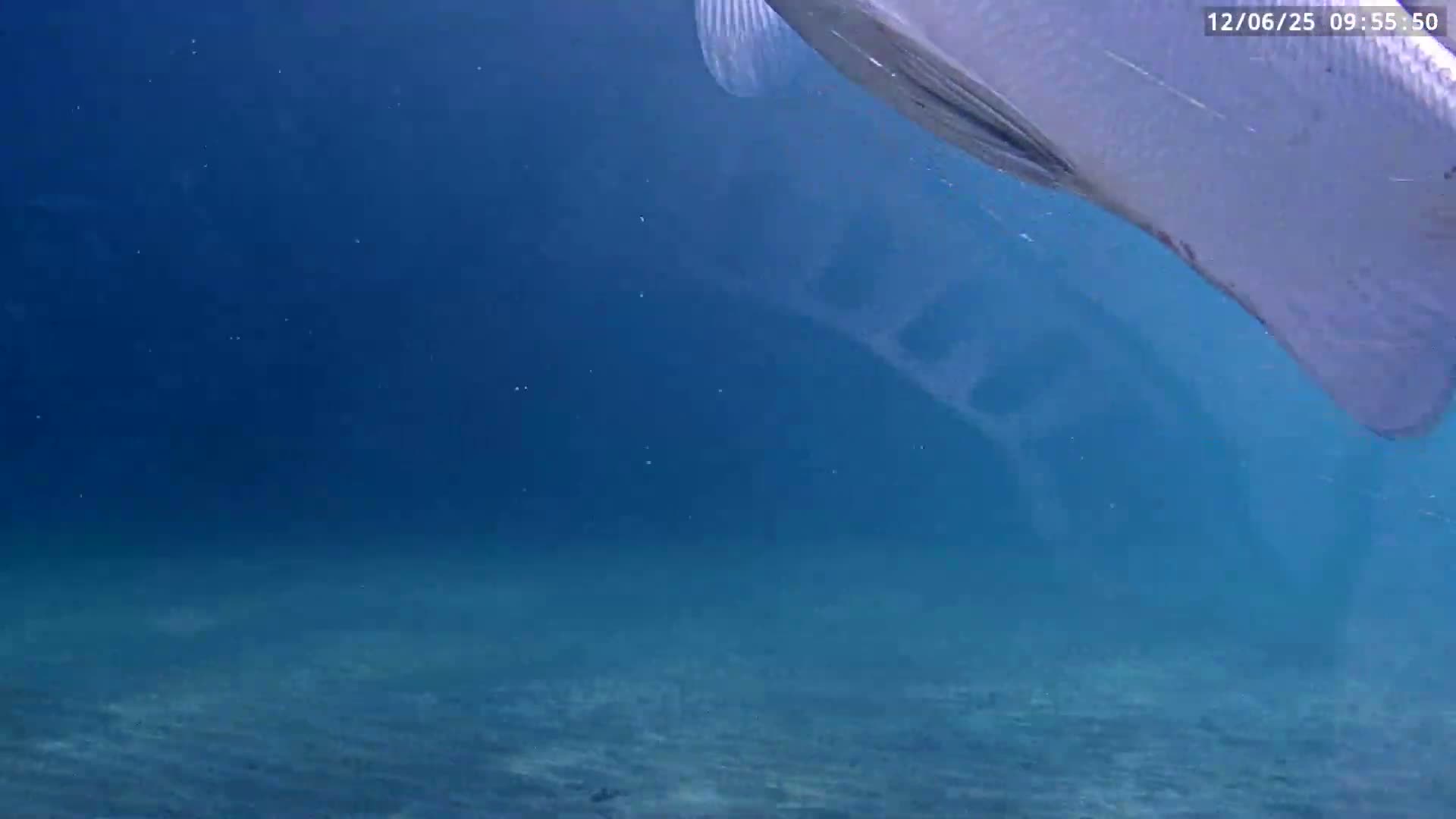 Deerfield Beach Atlantic Underwater Fish World Live Cam - Deerfield Beach, Broward, Florida, USA