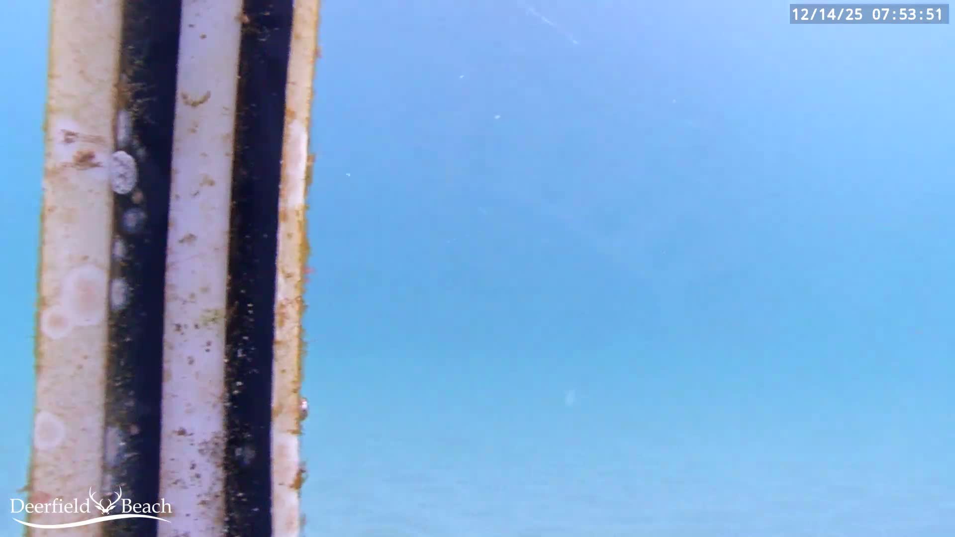 The image presents an almost entirely black scene with subtle digital noise, indicative of extremely dark, zero-visibility conditions, consistent with an outdoor camera at night.