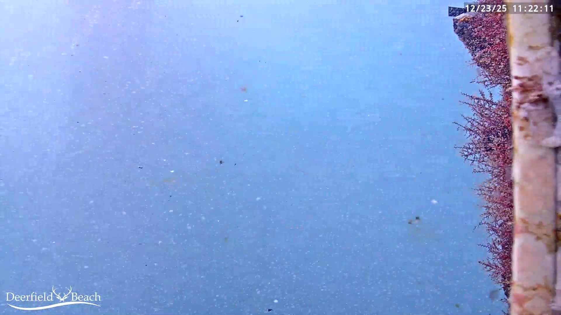 Deerfield Beach Atlantic Underwater Fish World Live Cam - Deerfield Beach, Broward, Florida, USA