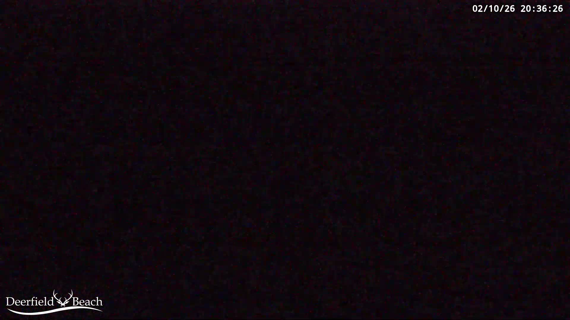 Deerfield Beach Atlantic Underwater Fish World Live Cam - Deerfield Beach, Broward, Florida, USA