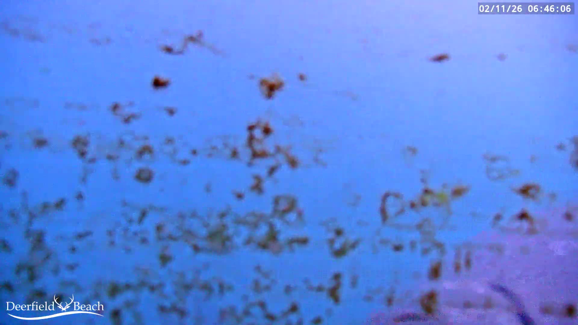 Deerfield Beach Atlantic Underwater Fish World Live Cam - Deerfield Beach, Broward, Florida, USA
