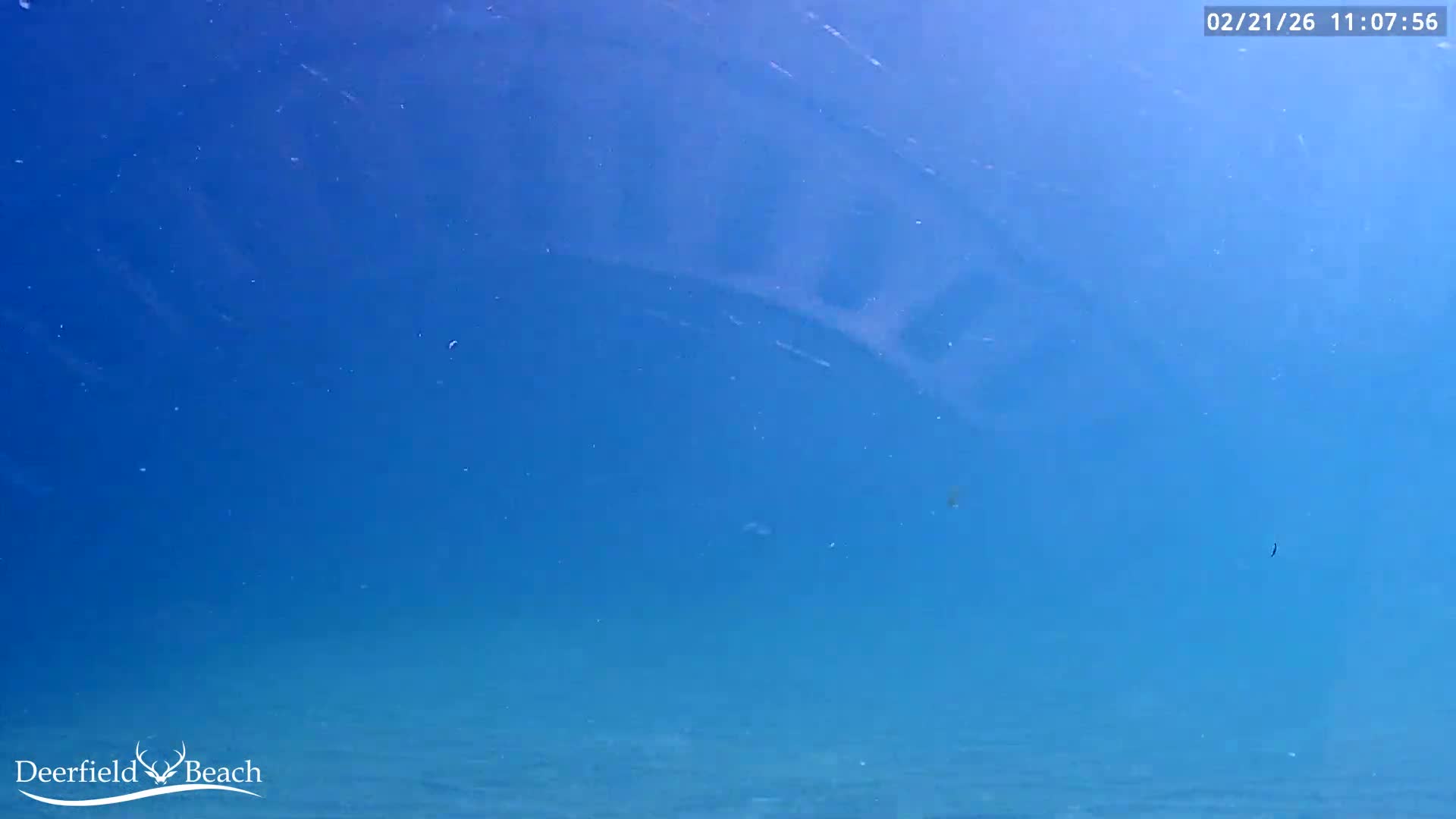 Deerfield Beach Atlantic Underwater Fish World Live Cam - Deerfield Beach, Broward, Florida, USA