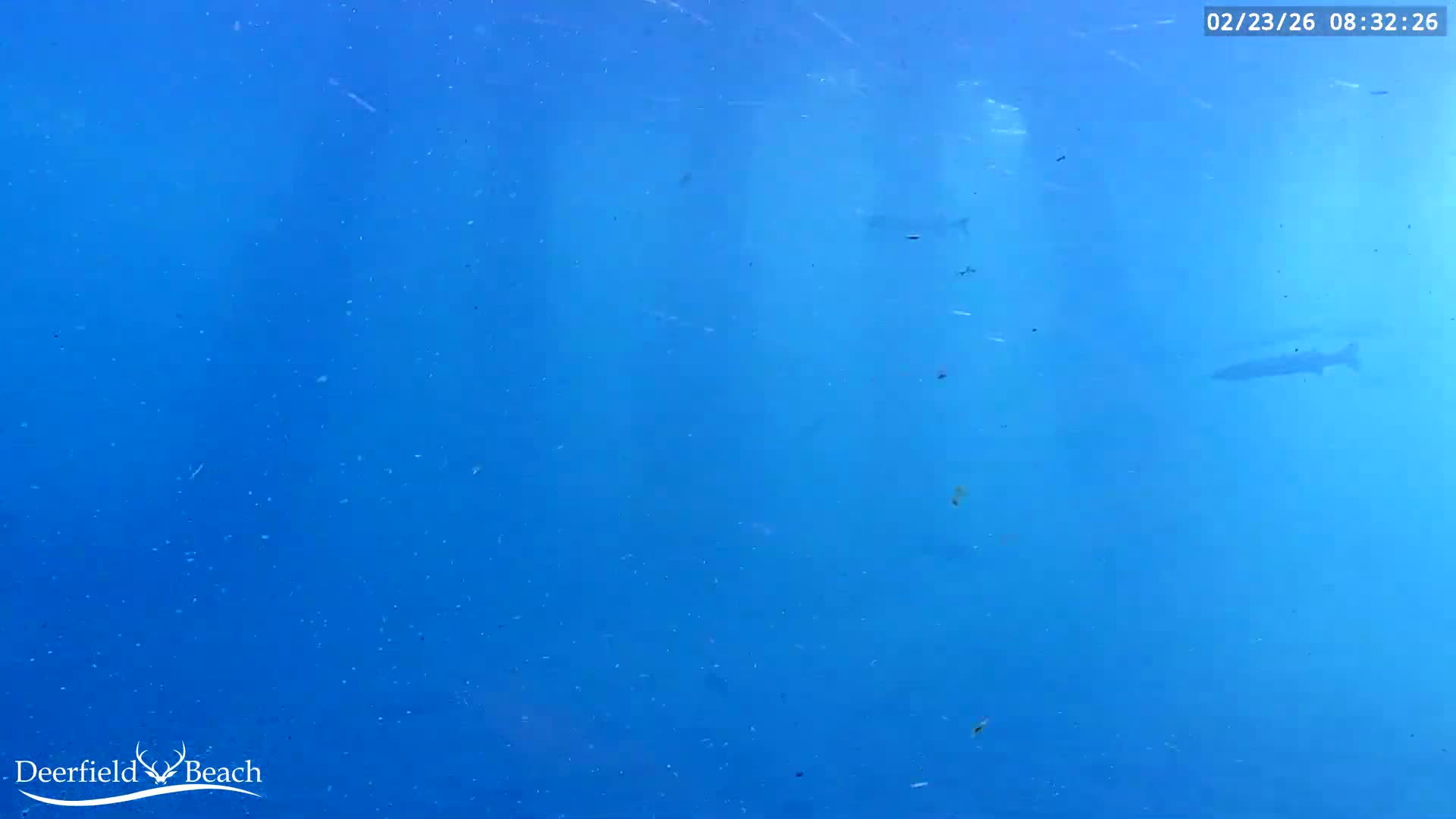 Deerfield Beach Atlantic Underwater Fish World Live Cam - Deerfield Beach, Broward, Florida, USA