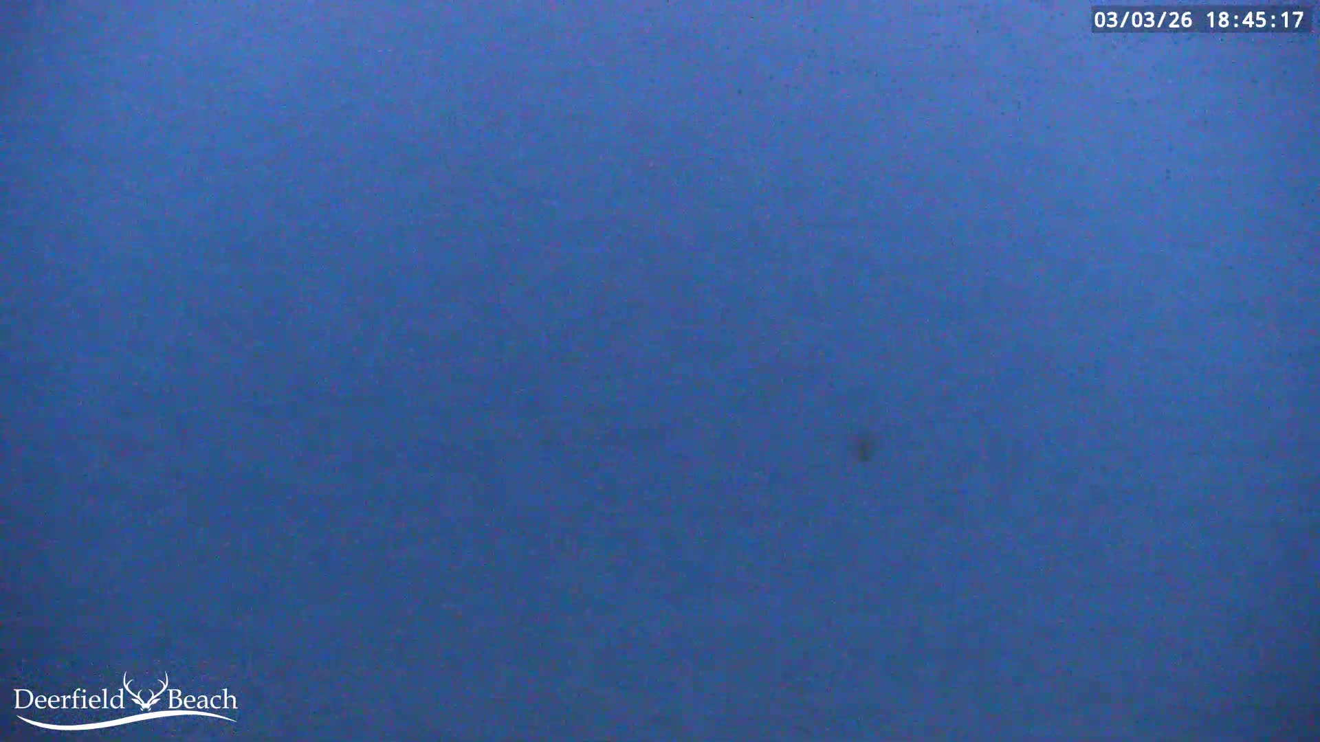Deerfield Beach Atlantic Underwater Fish World Live Cam - Deerfield Beach, Broward, Florida, USA