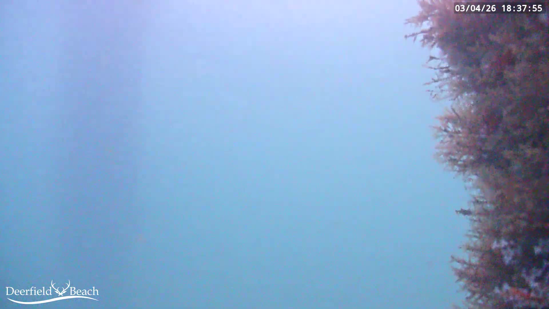 Deerfield Beach Atlantic Underwater Fish World Live Cam - Deerfield Beach, Broward, Florida, USA
