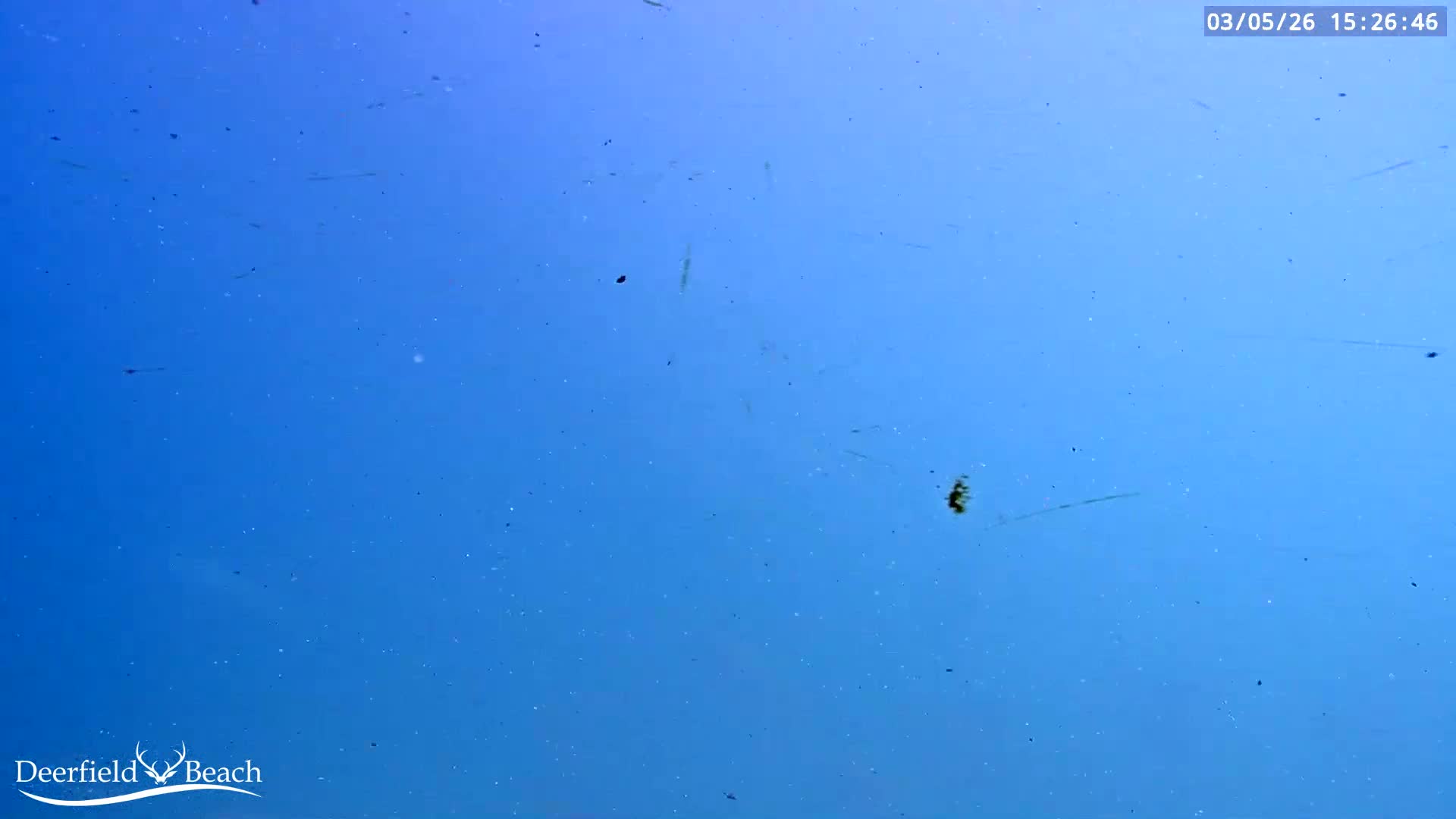 Deerfield Beach Atlantic Underwater Fish World Live Cam - Deerfield Beach, Broward, Florida, USA