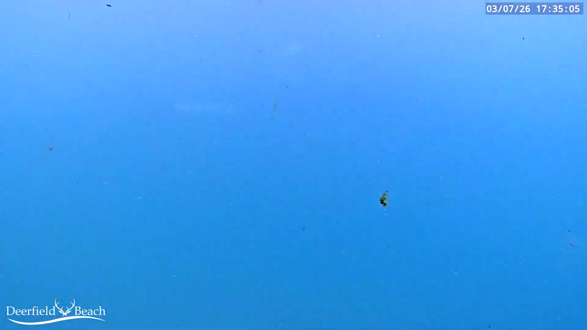 Deerfield Beach Atlantic Underwater Fish World Live Cam - Deerfield Beach, Broward, Florida, USA