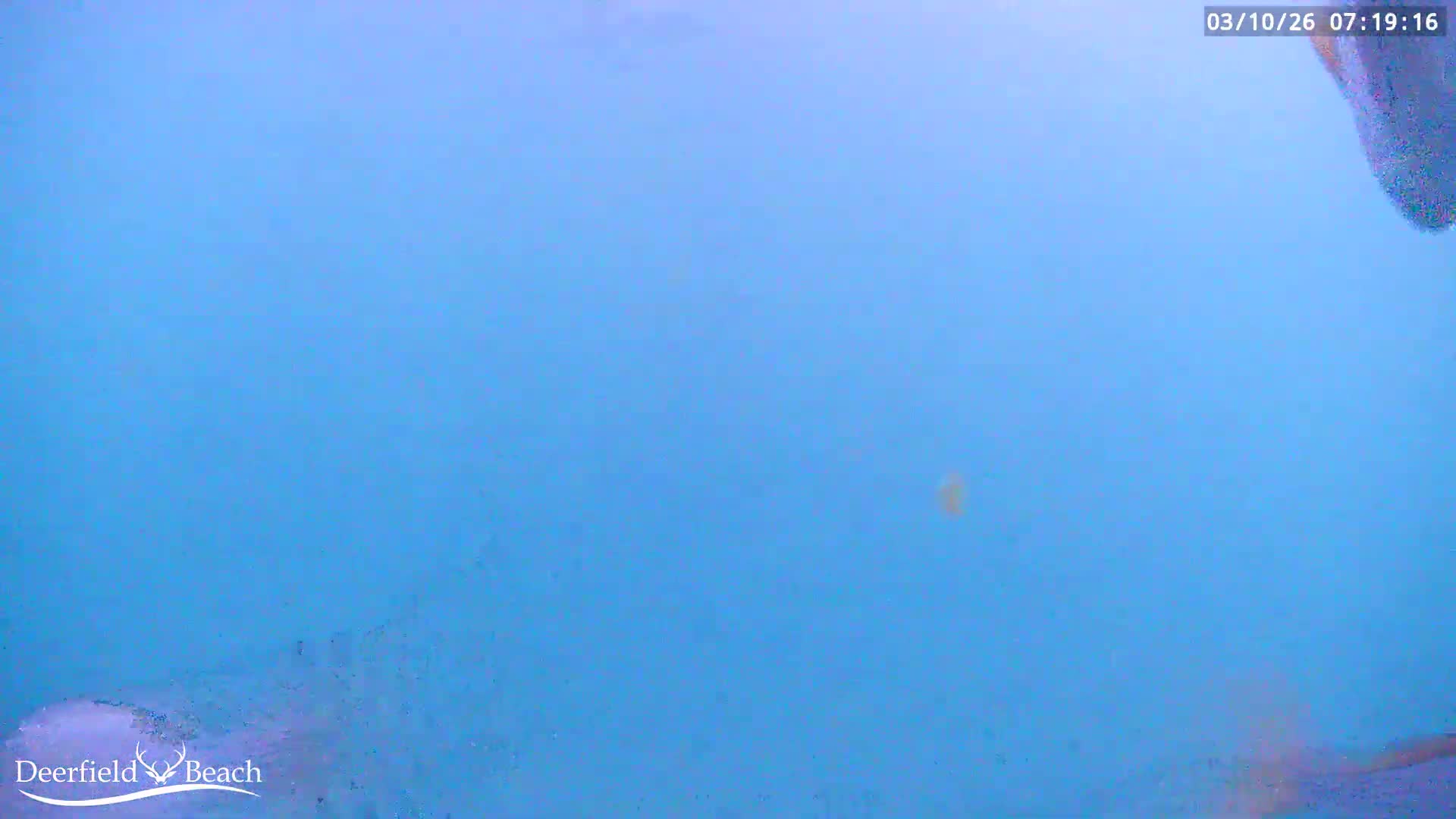 Deerfield Beach Atlantic Underwater Fish World Live Cam - Deerfield Beach, Broward, Florida, USA